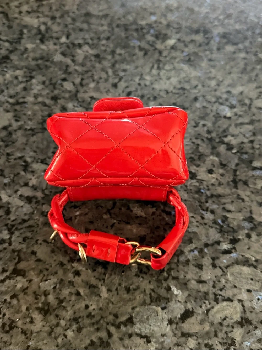 CHANEL ankle monitor bag